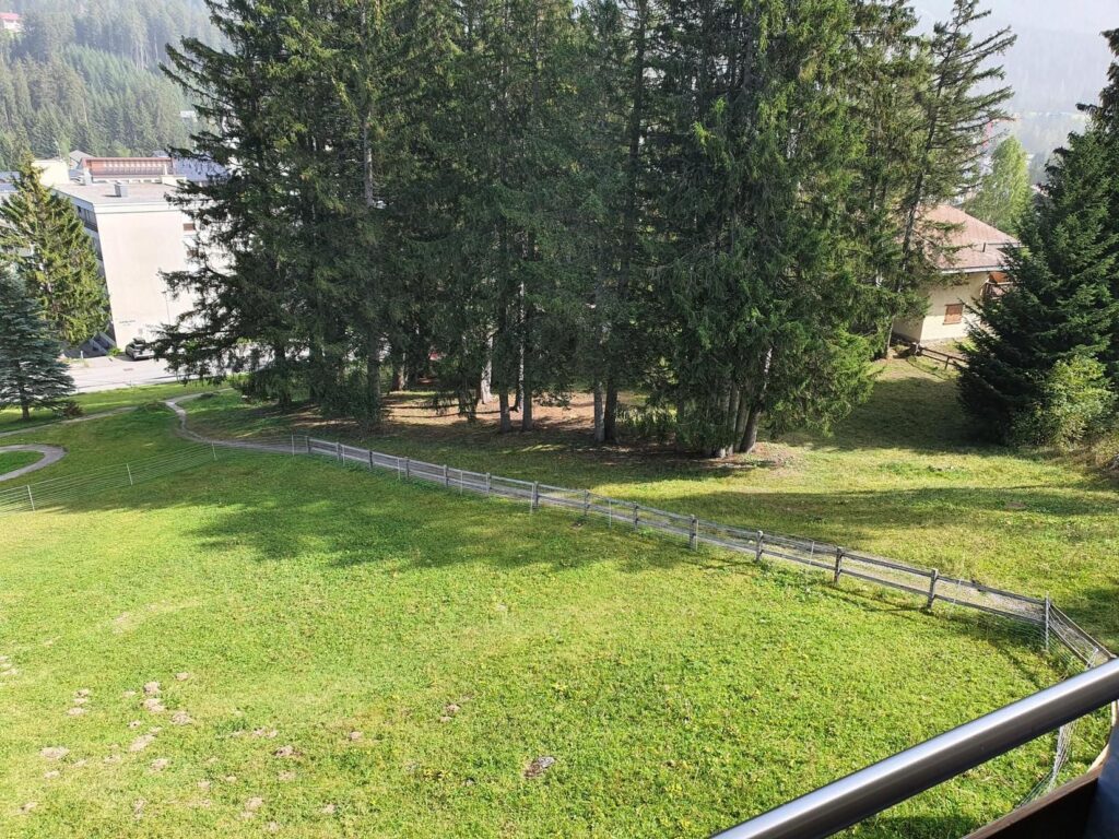 mf25004701