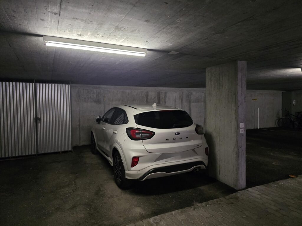 mf25006499